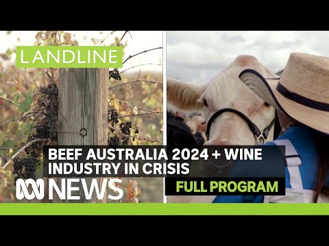 Landline | Winegrowers exiting the industry + spotlight on beef | ABC News In-depth [Video]