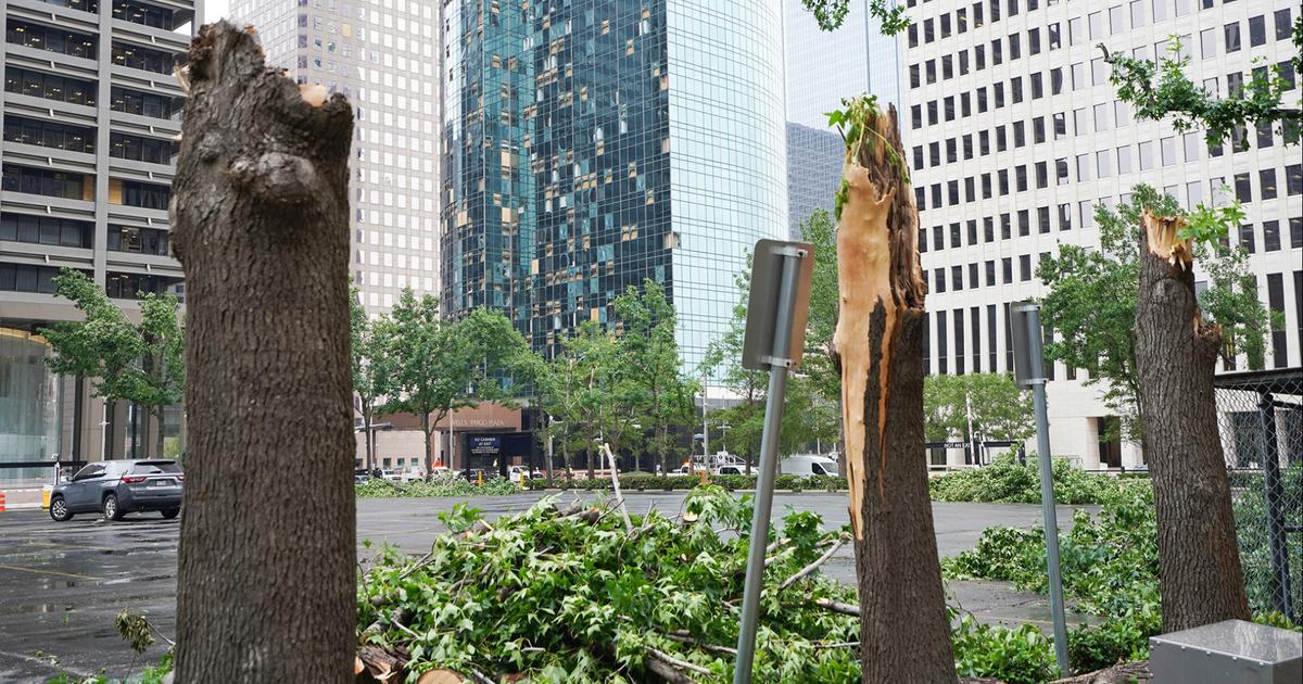 Houston begins cleanup after hurricane-force winds tear through city [Video]