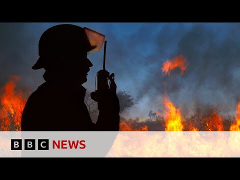 Canada wildfires: Winds push fires away from oil hub after residents flee homes | BBC News [Video]