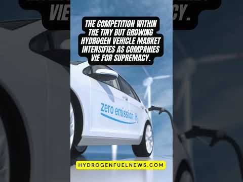Hyundai Cedes Hydrogen Crown to Toyota Amid Sales Decline [Video]