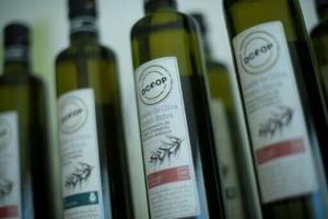 Spain to eliminate tax on olive oil to ease price jump [Video]