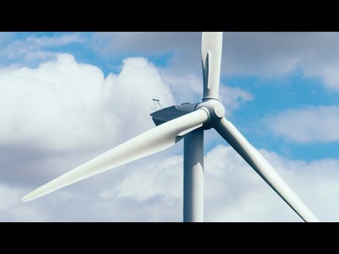 Wind turbines only work ’37 per cent’ of the time: Former ANSTO CEO [Video]