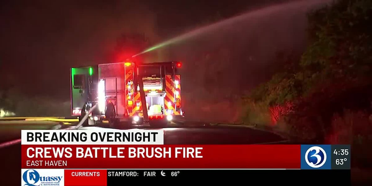 Crews contain brush fire near Tweed New Haven Airport [Video]