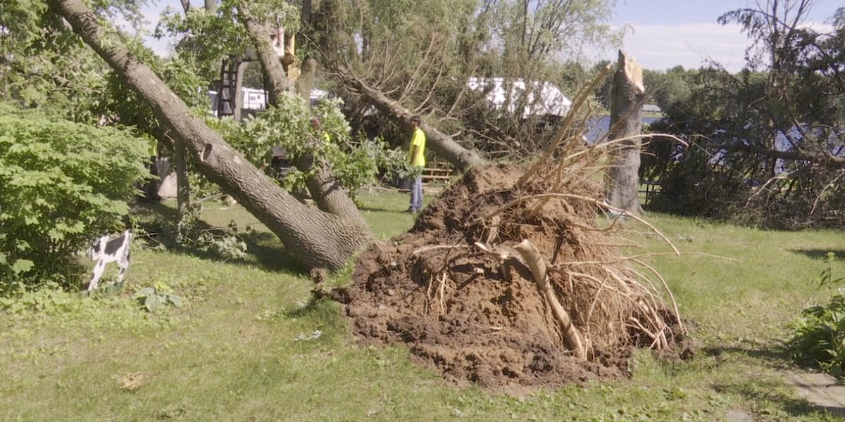 Tornado flips campers, uproots trees in Menominee, Oconto Counties [Video]