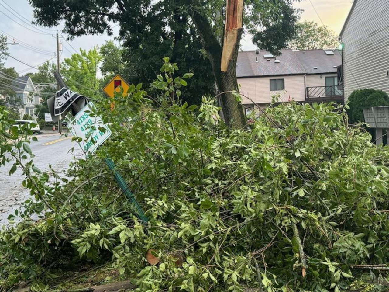 NYC storms fierce winds topple trees, cause power outages on Staten Island: Great Kills hit hard [Video]