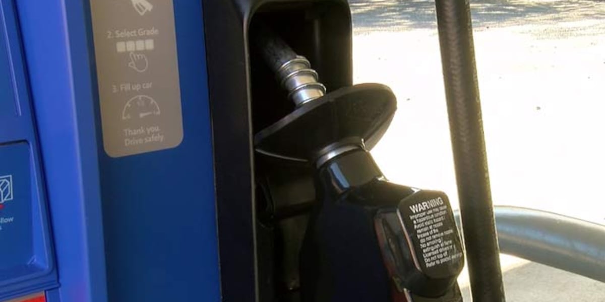 July 4 gas prices expected to be lowest holiday price since 2021 [Video]