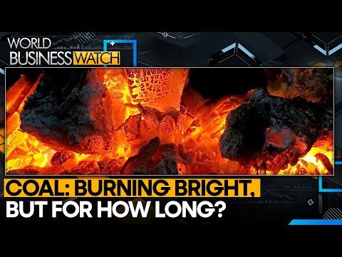 Coal: burning bright, but for how long? | World Business Watch [Video]