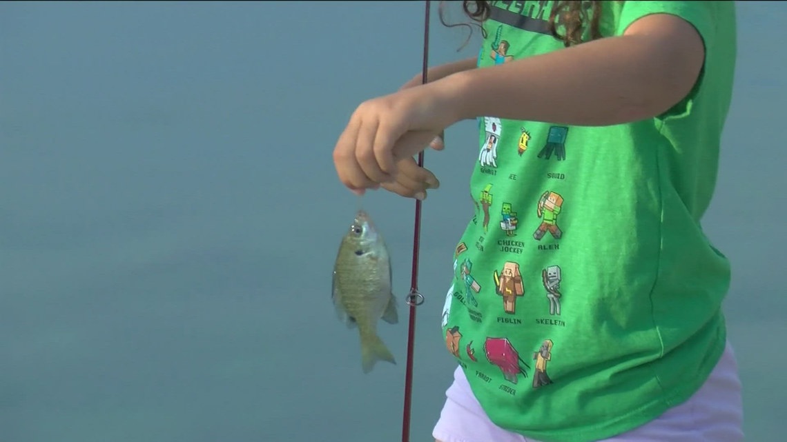 Are the fish in Lake Erie safe to eat? | Protecting Our Water [Video]