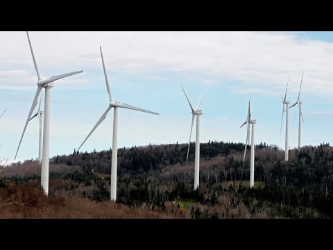 Cold weather sparks demand for more electricity [Video]