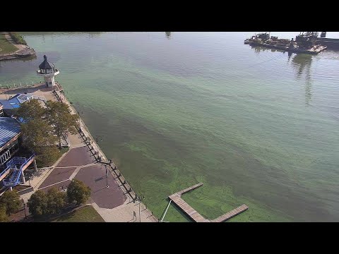 I-TEAM special report on algae progress 10 years after Toledo water crisis [Video]