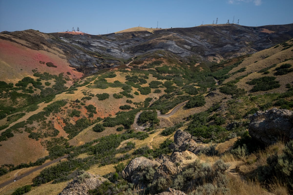 Climate change is making Utahs fire season worse [Video]