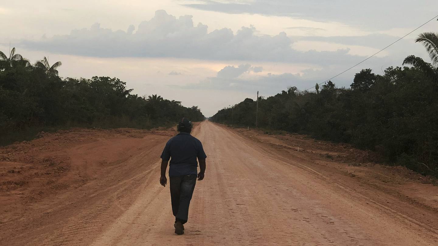Citing climate change, a federal court in Brazil halts rainforest highway paving  WHIO TV 7 and WHIO Radio [Video]