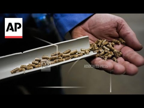 Wood pellets boom in the U.S. raises health and environmental concerns [Video]