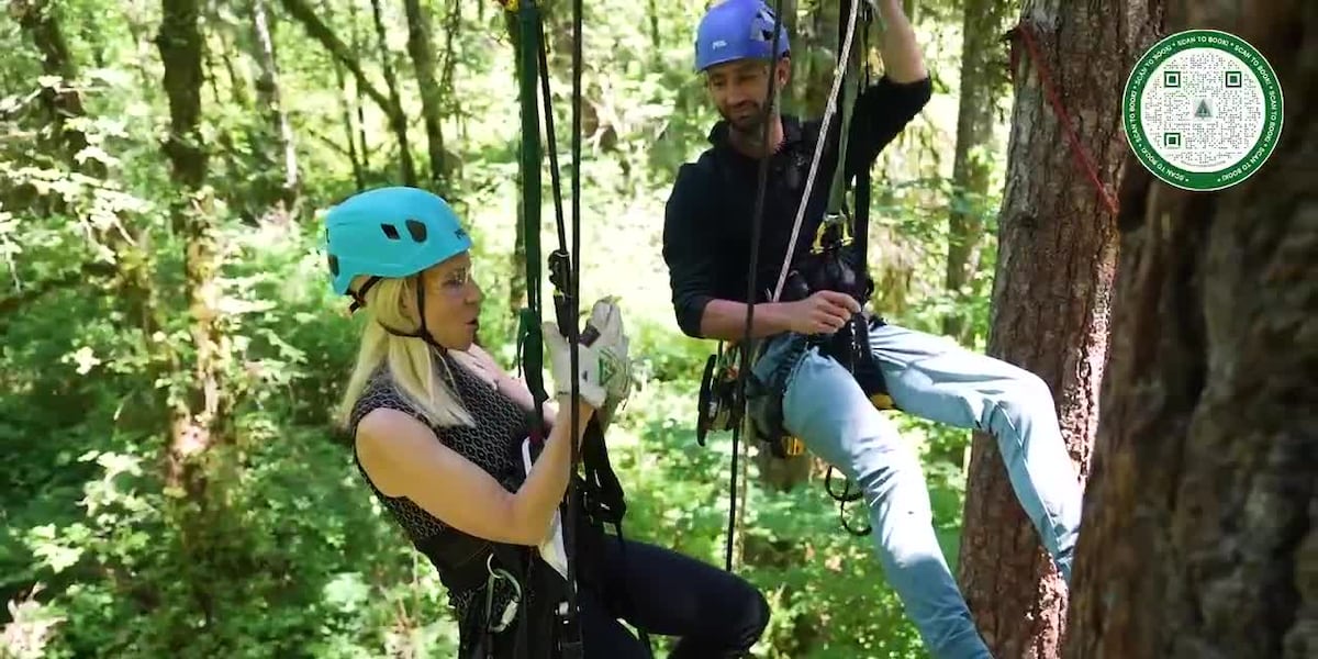 Old growth adventures for all-ages, with tree climbing at Silver Falls and Travel Salem [Video]