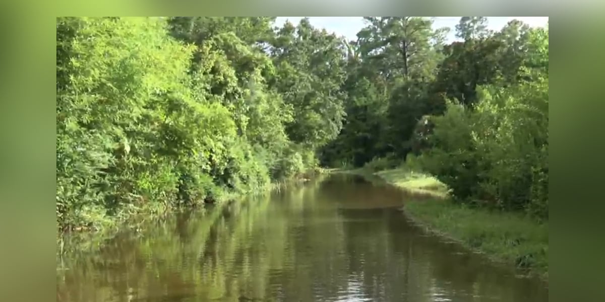I feel like Im in a river: Homeowner begs SCDOT to resolve flooding [Video]