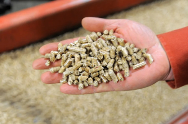 Wood pellets production boomed to feed EU demand. Its come at a cost for Black people in the South [Video]